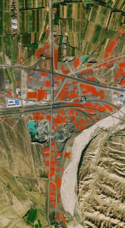 ▲图为卫星拍摄的中国辣椒之乡新疆沙湾县安集海镇，红色区域为晾晒的辣椒。卫星图像来源：天地图